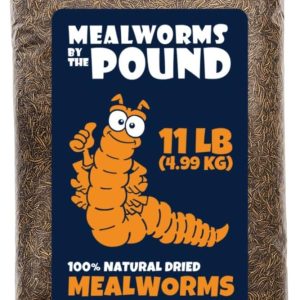 MBTP Bulk Dried Mealworms – Treats for Chickens & Wild Birds (11 Lbs)