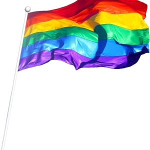 Filimino Rainbow Pride Gay Flag 3×5 Feet (36 x 60 Inches) 100% Polyester with Two Metal Grommets LGBT