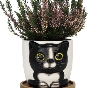 Window Garden Cat Planter – Large Kitty Pot for Indoor House Plants, Succulents, Flowers and Herbs – Cute Planters, Great Gift for Cat Lovers for Christmas, Thanksgiving, Housewarming (Oreo)