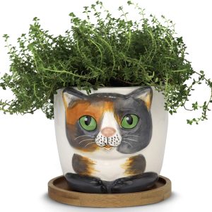 Window Garden Animal Planters – Large Kitty Pot (Barney) Purrfect for Indoor Live House Plants, Succulents, Flowers and Herbs, Super Cute Planter Gift for Cat Lovers, Office, Christmas.