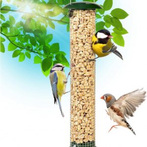 Runadi Premium Steel Sunflower Seed Feeder and Peanut Feeder, 15″ Tall, Wild Bird Feeder for Woodpeckers, Titmice, Nuthatches, Chickadees, Jays and More!